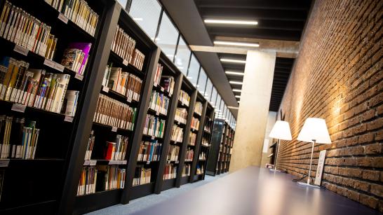 Taxandriagang is een onderdeel van het Archief