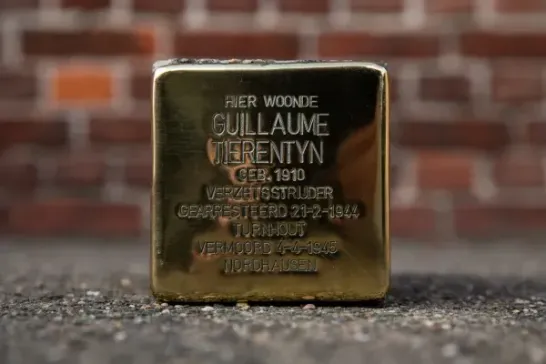 Struikelsteen Guillaume Tierentyn