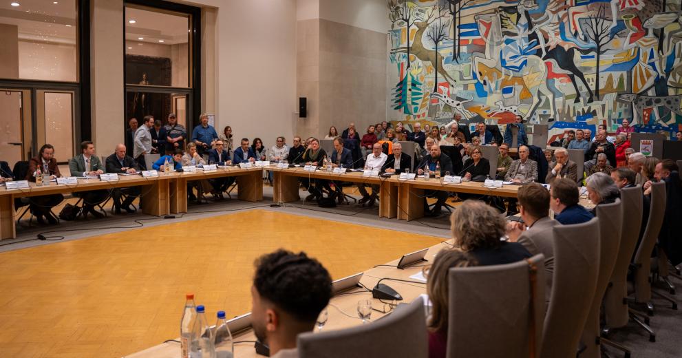 Raad voor maatschappelijk welzijn