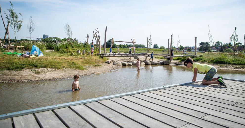 Kinderen spelen in heizijdsevelden