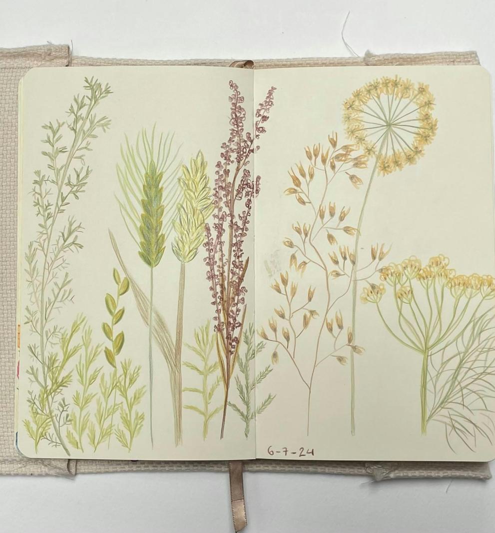 Art journal