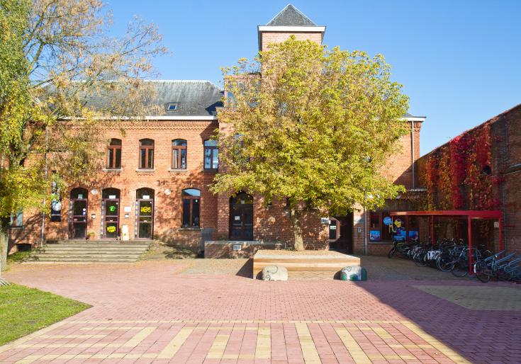 Foto wollewei buitenkant