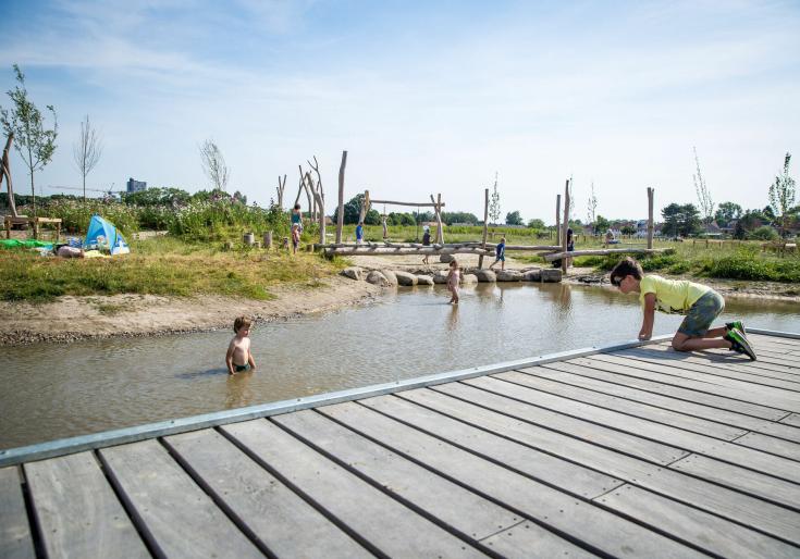 Kinderen spelen in heizijdsevelden